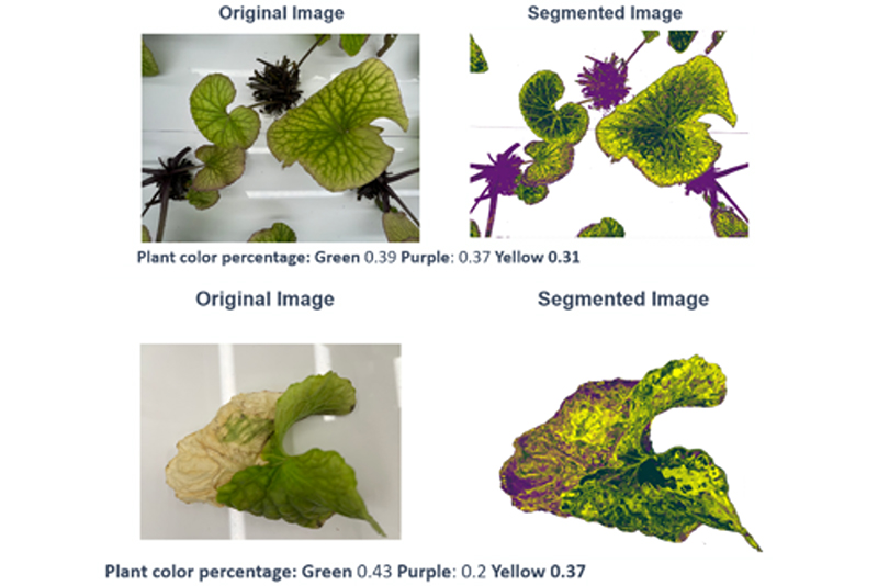 特徴② 色見計測