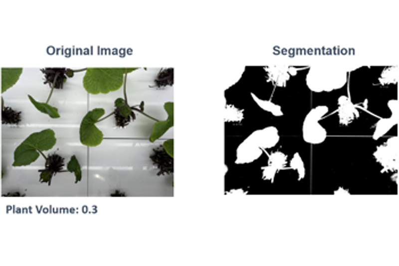 特徴③ 密度測定